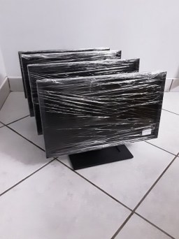 dell_19wm_1